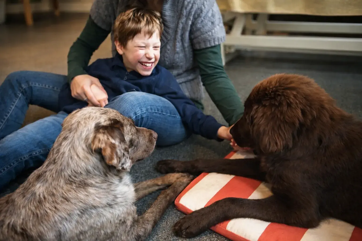 Kind bei der Hundetherapie